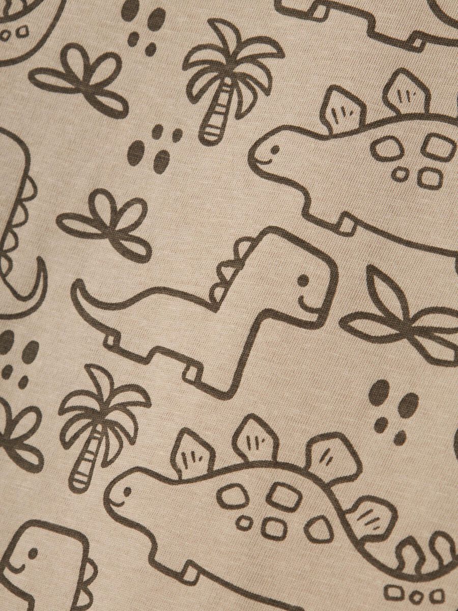 T-Shirt braun Dinos Mini Boys