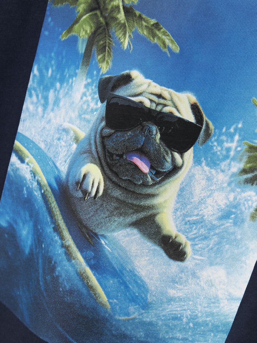 T-Shirt Mini Boys blau Hund