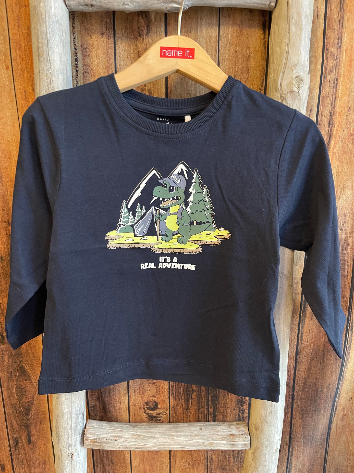 Langarmshirt Mini Boys blau Dino