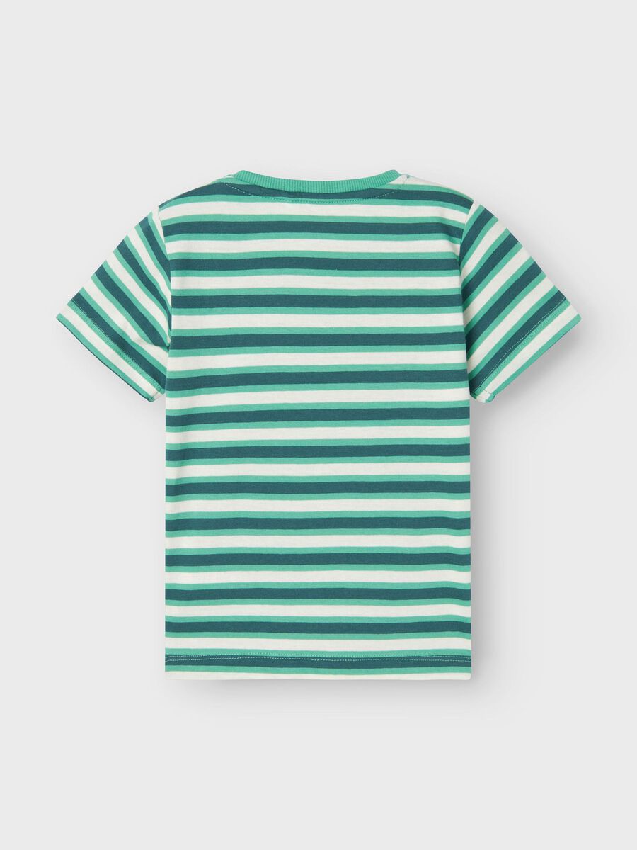 T-Shirt Streifen grün Krokodil Mini Boys