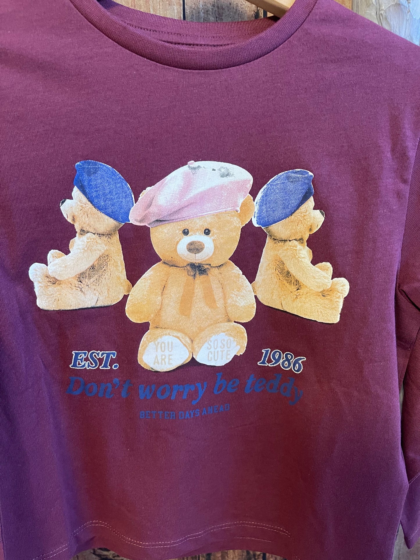 Longsleeve Kids Girls Teddy lila