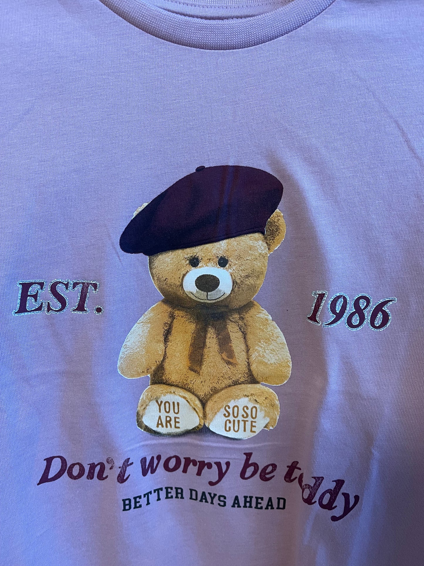 Longsleeve Kids Girls Teddy rosa